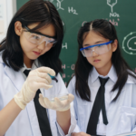 After MPC: Best Courses & Career Options for a Bright Future